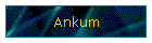 Ankum